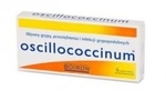 Zdjęcie Oscillococcinum mikrogranulki ...